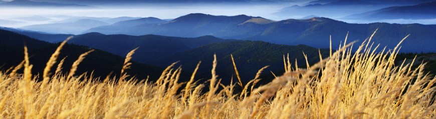 Bild Kopfzeile: Blauer Himmel, Berge und im Vordergrund goldgelbes Weizen.