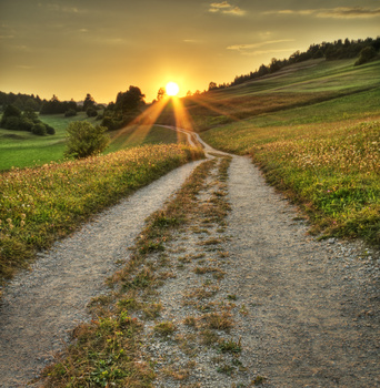 Fotolia 17006749 © Dušan Zidar - Fotolia.com